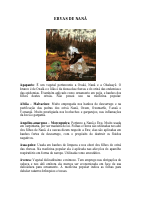 ERVAS DE NANÃ.pdf